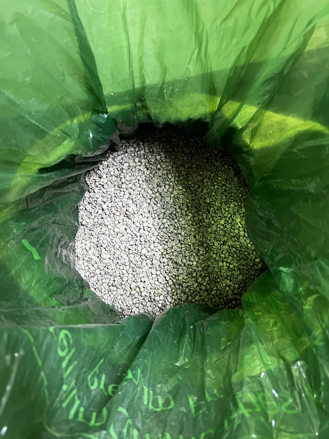 Unroasted green coffee beans filling an open bag with a green plastic liner, photographed from directly above.
